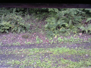 長野県菅平高原 ゆたか山荘 南側 2025/09/18 11:30