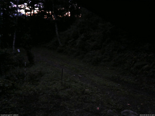 長野県菅平高原 ゆたか山荘 東側(坂下) 2025/09/18 05:15