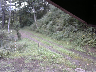 長野県菅平高原 ゆたか山荘 東側(坂下) 2025/09/18 07:15