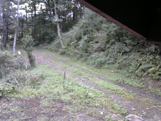 長野県菅平高原 ゆたか山荘 東側(坂下) 2025/09/18 07:45