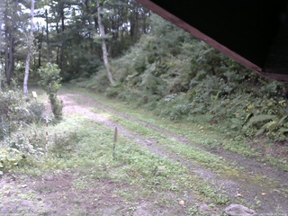 長野県菅平高原 ゆたか山荘 東側(坂下) 2025/09/18 09:30