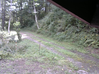 長野県菅平高原 ゆたか山荘 東側(坂下) 2025/09/18 10:15
