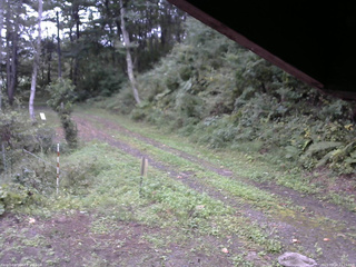 長野県菅平高原 ゆたか山荘 東側(坂下) 2025/09/18 11:15