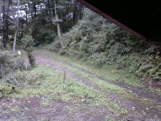 長野県菅平高原 ゆたか山荘 東側(坂下) 2025/09/18 16:15