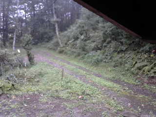 長野県菅平高原 ゆたか山荘 東側(坂下) 2025/09/18 16:30