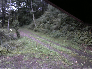 長野県菅平高原 ゆたか山荘 東側(坂下) 2025/09/18 17:30