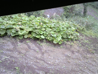 長野県菅平高原 ゆたか山荘 駐車場 2025/09/18 07:30