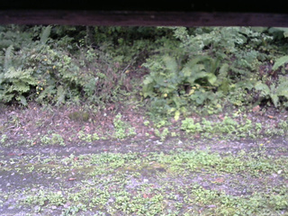 長野県菅平高原 ゆたか山荘 南側 2025/09/19 11:30