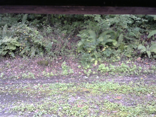 長野県菅平高原 ゆたか山荘 南側 2025/09/19 12:00