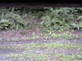 長野県菅平高原 ゆたか山荘 南側 2025/09/19 12:15
