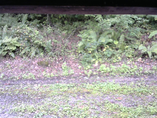 長野県菅平高原 ゆたか山荘 南側 2025/09/19 14:15