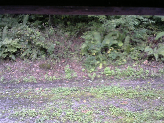 長野県菅平高原 ゆたか山荘 南側 2025/09/19 16:45