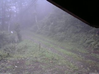 長野県菅平高原 ゆたか山荘 東側(坂下) 2025/09/19 06:00