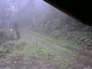 長野県菅平高原 ゆたか山荘 東側(坂下) 2025/09/19 06:15