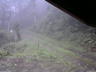 長野県菅平高原 ゆたか山荘 東側(坂下) 2025/09/19 06:30