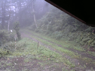長野県菅平高原 ゆたか山荘 東側(坂下) 2025/09/19 07:15