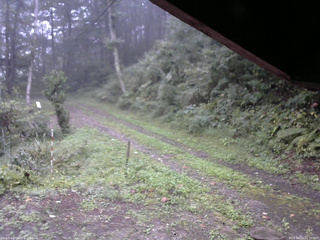 長野県菅平高原 ゆたか山荘 東側(坂下) 2025/09/19 07:30