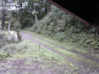長野県菅平高原 ゆたか山荘 東側(坂下) 2025/09/19 10:45