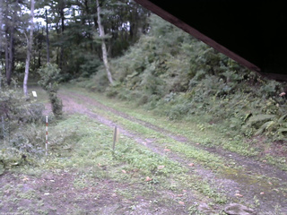 長野県菅平高原 ゆたか山荘 東側(坂下) 2025/09/19 14:15