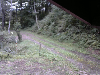 長野県菅平高原 ゆたか山荘 東側(坂下) 2025/09/19 17:00