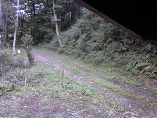 長野県菅平高原 ゆたか山荘 東側(坂下) 2025/09/19 17:30