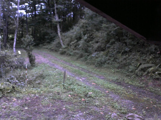 長野県菅平高原 ゆたか山荘 東側(坂下) 2025/09/19 17:45