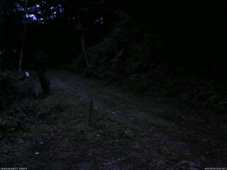 長野県菅平高原 ゆたか山荘 東側(坂下) 2025/09/19 18:00