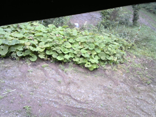 長野県菅平高原 ゆたか山荘 駐車場 2025/09/19 15:45