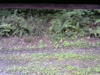 長野県菅平高原 ゆたか山荘 南側 2025/09/20 07:00