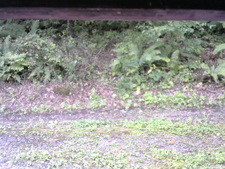 長野県菅平高原 ゆたか山荘 南側 2025/09/20 10:00