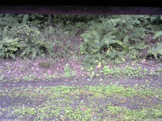 長野県菅平高原 ゆたか山荘 南側 2025/09/20 12:30