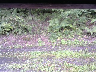 長野県菅平高原 ゆたか山荘 南側 2025/09/20 13:15
