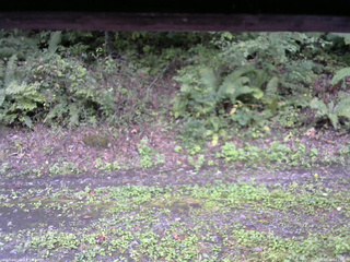 長野県菅平高原 ゆたか山荘 南側 2025/09/20 14:15