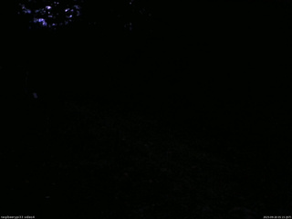 長野県菅平高原 ゆたか山荘 東側(坂下) 2025/09/20 05:15