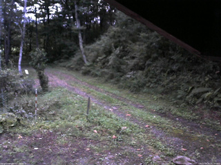 長野県菅平高原 ゆたか山荘 東側(坂下) 2025/09/20 05:30