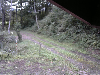 長野県菅平高原 ゆたか山荘 東側(坂下) 2025/09/20 05:45