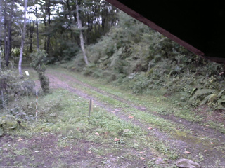 長野県菅平高原 ゆたか山荘 東側(坂下) 2025/09/20 06:00