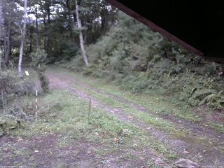 長野県菅平高原 ゆたか山荘 東側(坂下) 2025/09/20 06:15