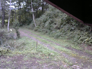 長野県菅平高原 ゆたか山荘 東側(坂下) 2025/09/20 06:30