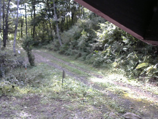 長野県菅平高原 ゆたか山荘 東側(坂下) 2025/09/20 07:30