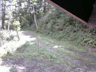 長野県菅平高原 ゆたか山荘 東側(坂下) 2025/09/20 09:30