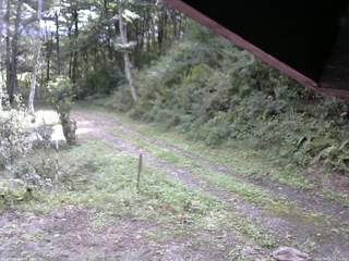 長野県菅平高原 ゆたか山荘 東側(坂下) 2025/09/20 10:15
