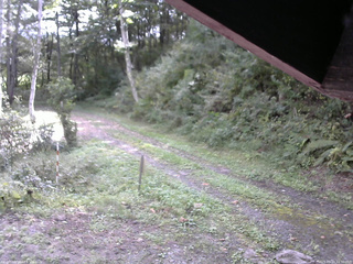 長野県菅平高原 ゆたか山荘 東側(坂下) 2025/09/20 10:30