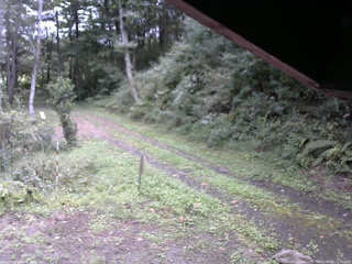 長野県菅平高原 ゆたか山荘 東側(坂下) 2025/09/20 11:30