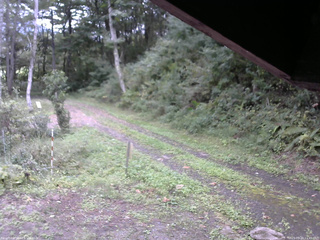 長野県菅平高原 ゆたか山荘 東側(坂下) 2025/09/20 11:45