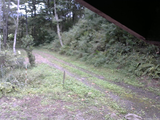 長野県菅平高原 ゆたか山荘 東側(坂下) 2025/09/20 12:00