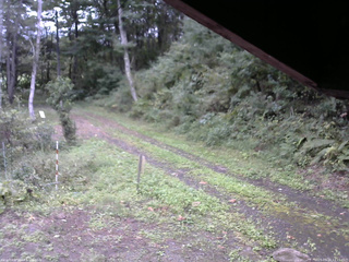 長野県菅平高原 ゆたか山荘 東側(坂下) 2025/09/20 12:15