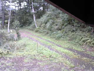 長野県菅平高原 ゆたか山荘 東側(坂下) 2025/09/20 13:00