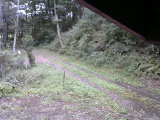長野県菅平高原 ゆたか山荘 東側(坂下) 2025/09/20 15:00