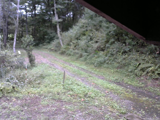 長野県菅平高原 ゆたか山荘 東側(坂下) 2025/09/20 15:15